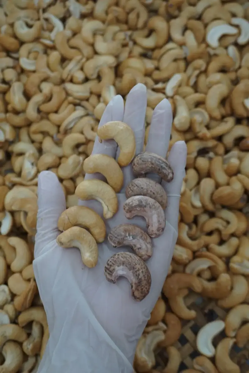 Cashews