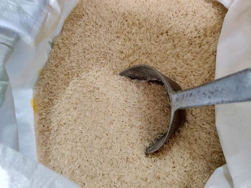 Rice